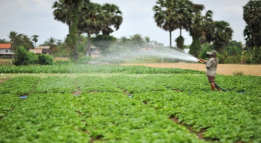 Carbon-Neutral Farming